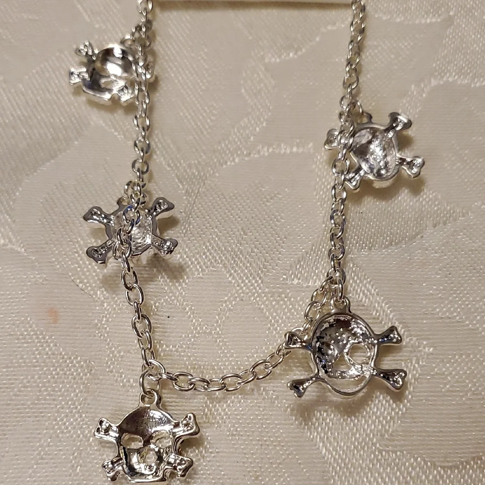 N/A silvertone skull